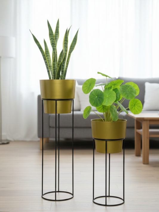 Two potted plants on stands in a living room setting.
