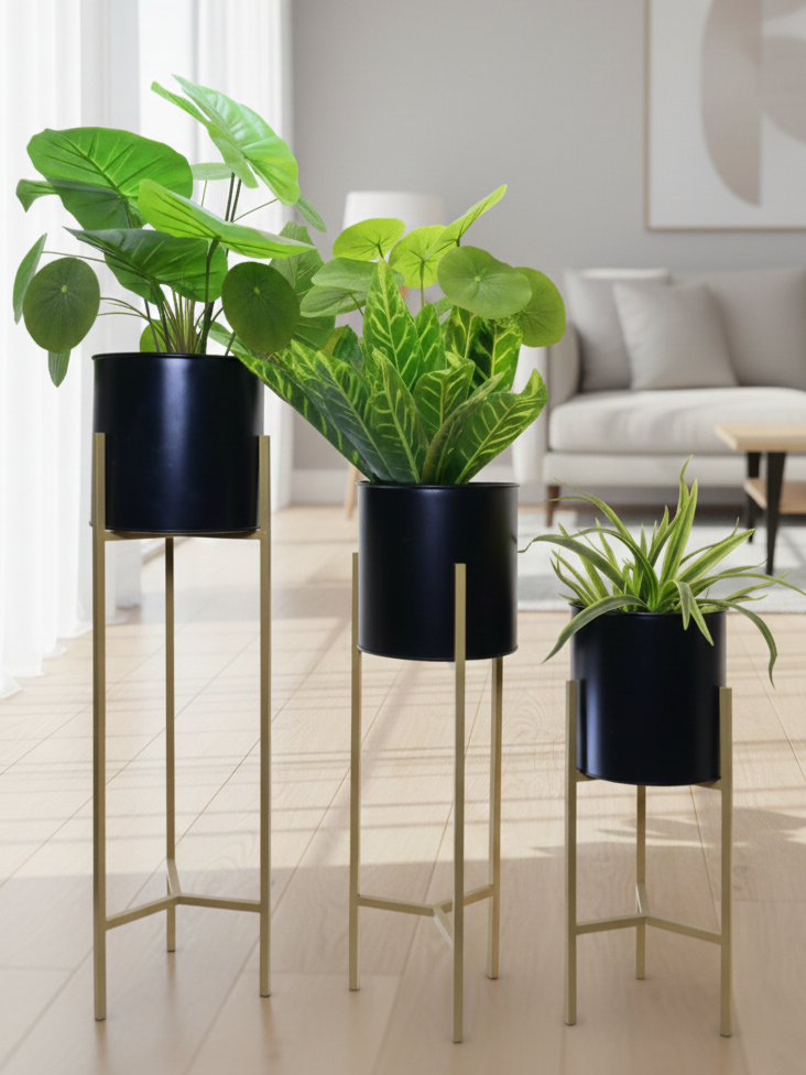 Three potted plants on stands in a living room setting