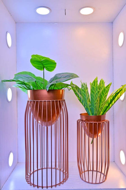 Rose Gold Metal Cage Planters – Set of 2 Modern Decorative Planters