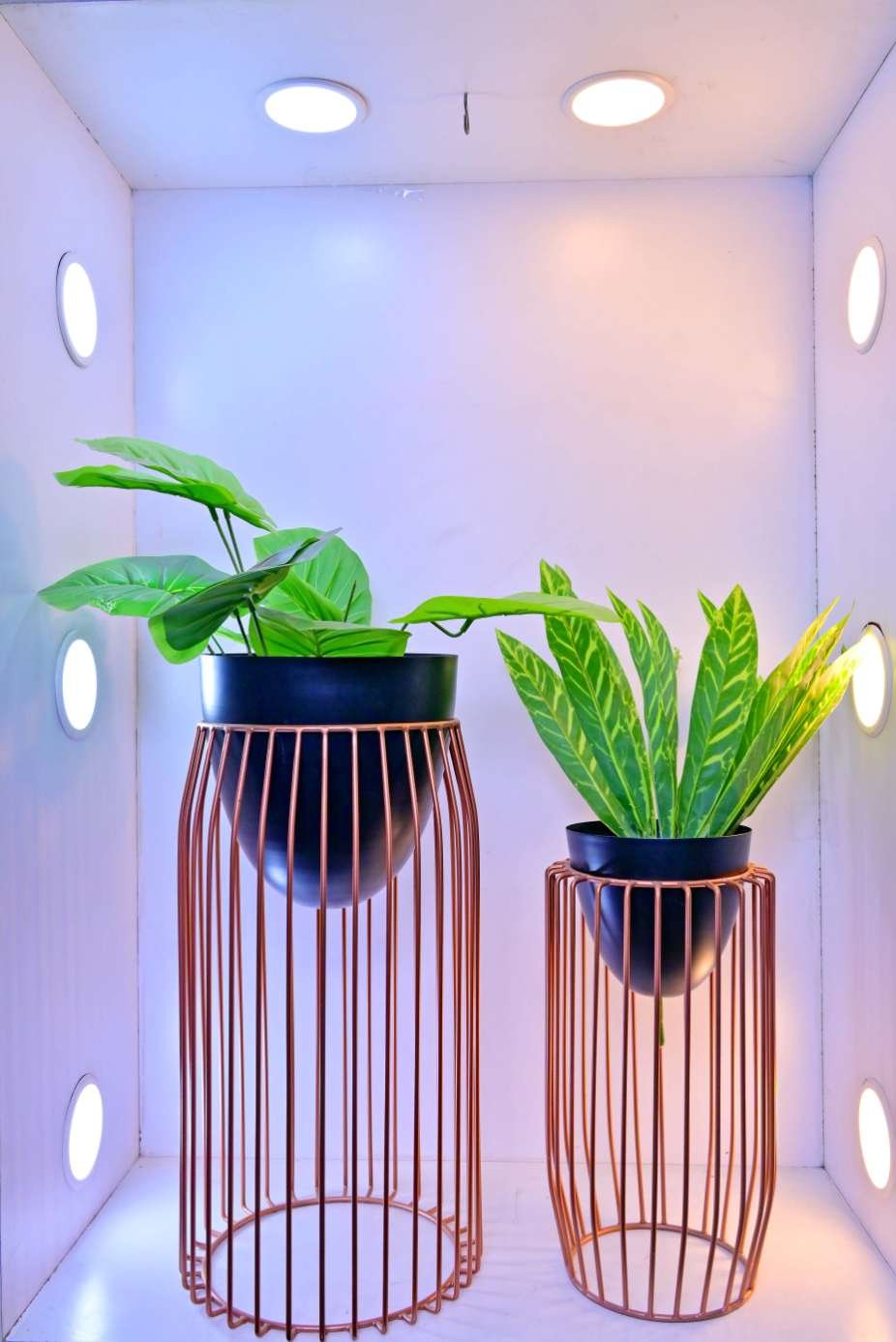 Rose Gold Metal Cage Planters – Set of 2 Modern Decorative Planters