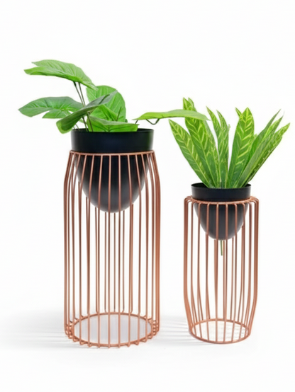 Two copper wire plant stands with black pots containing green plants on a white background