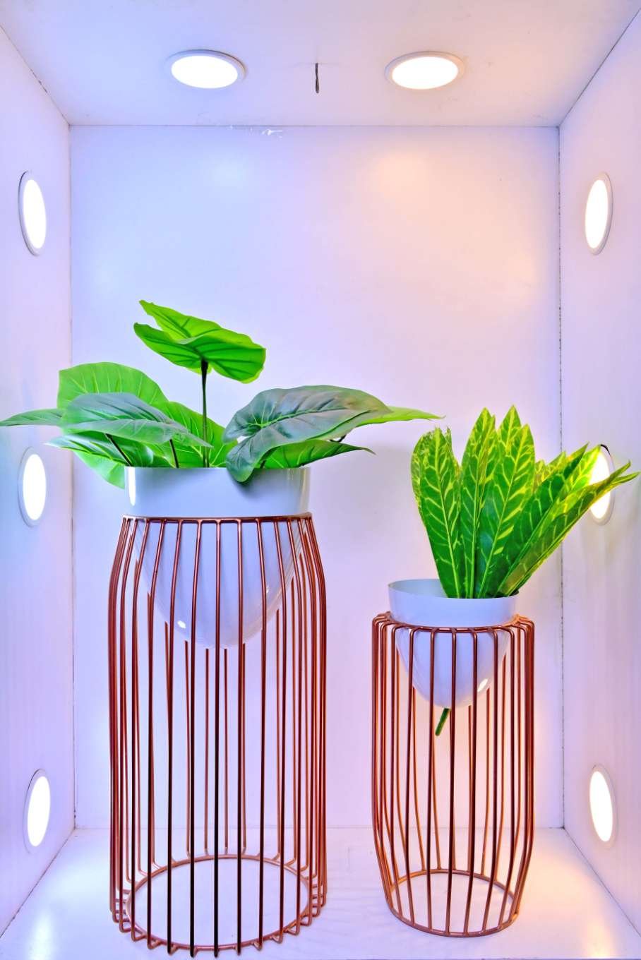Rose Gold Metal Cage Planters – Set of 2 Modern Decorative Planters