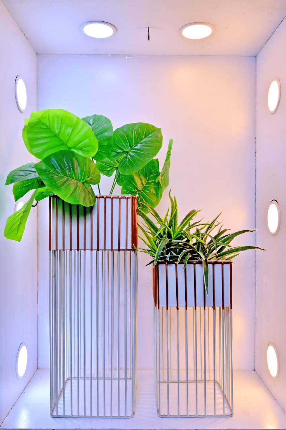 Rectangular Bronze Band Pots Duo set of 2 – 23×45 & 23×63 – Bronze Planters