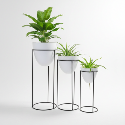 Set of three white planters with plants on black stands against a white background