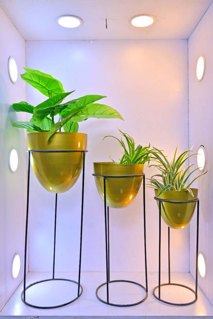 Modern Plant Stands with Round Pots – Set of 3 Decorative Planters