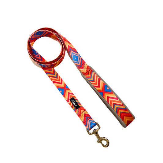 Printed Dog & Cat Leash Orange