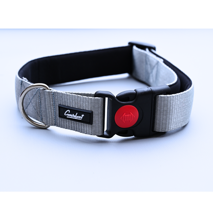 Premium Dog Collar Grey