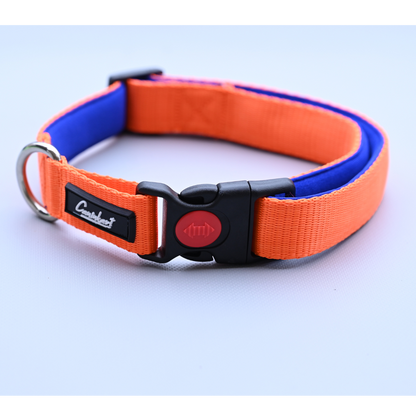 Premium Dog Collar Orange