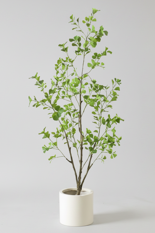 Potted plant with green leaves on a white background