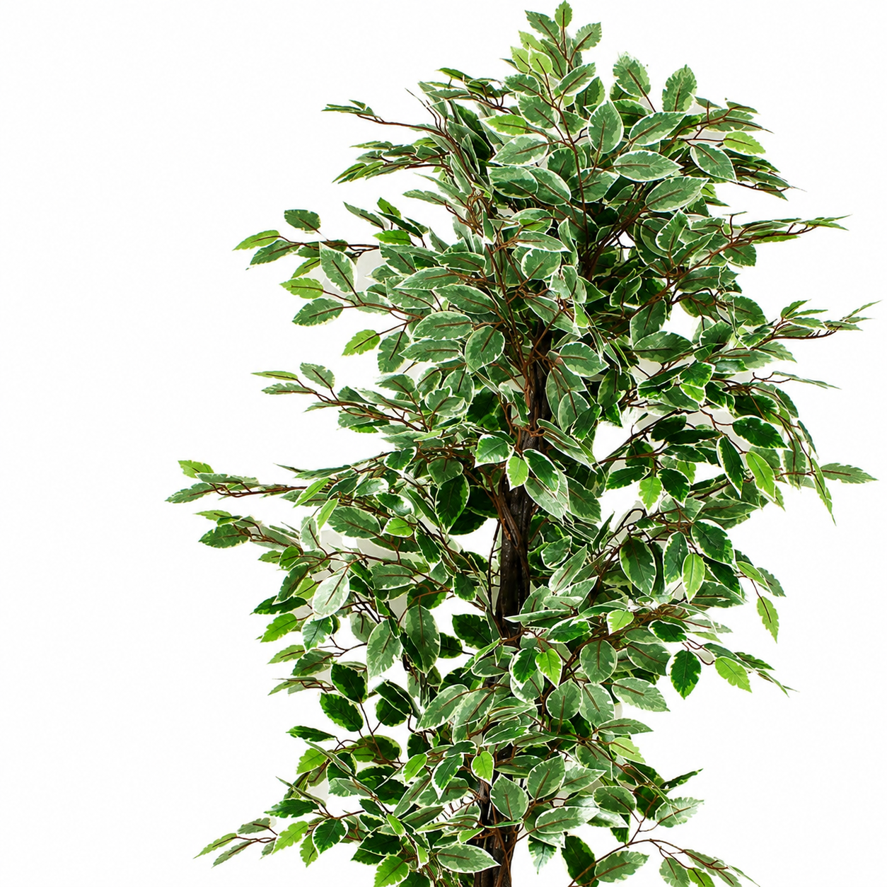 Artificial Ficus Plant - 70.87-Inch Faux Tree