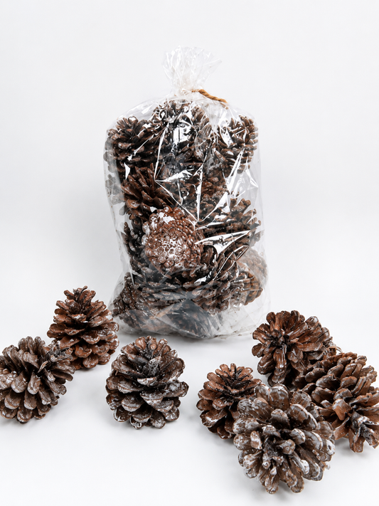 Natural Frosted Pine Cones