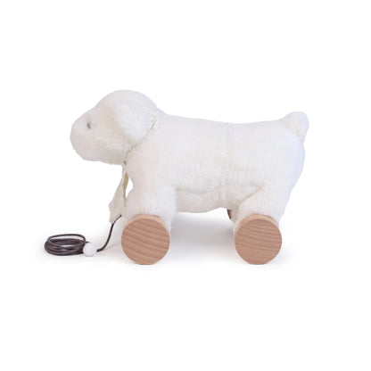 Pull Along Toy - Frosty the Polar Bear