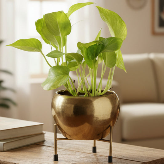 Round Metal Planter with Stand – Gold & Copper Finish