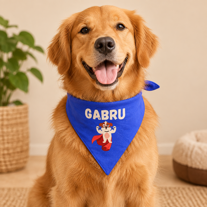 Pet Dog Bandana Gabru