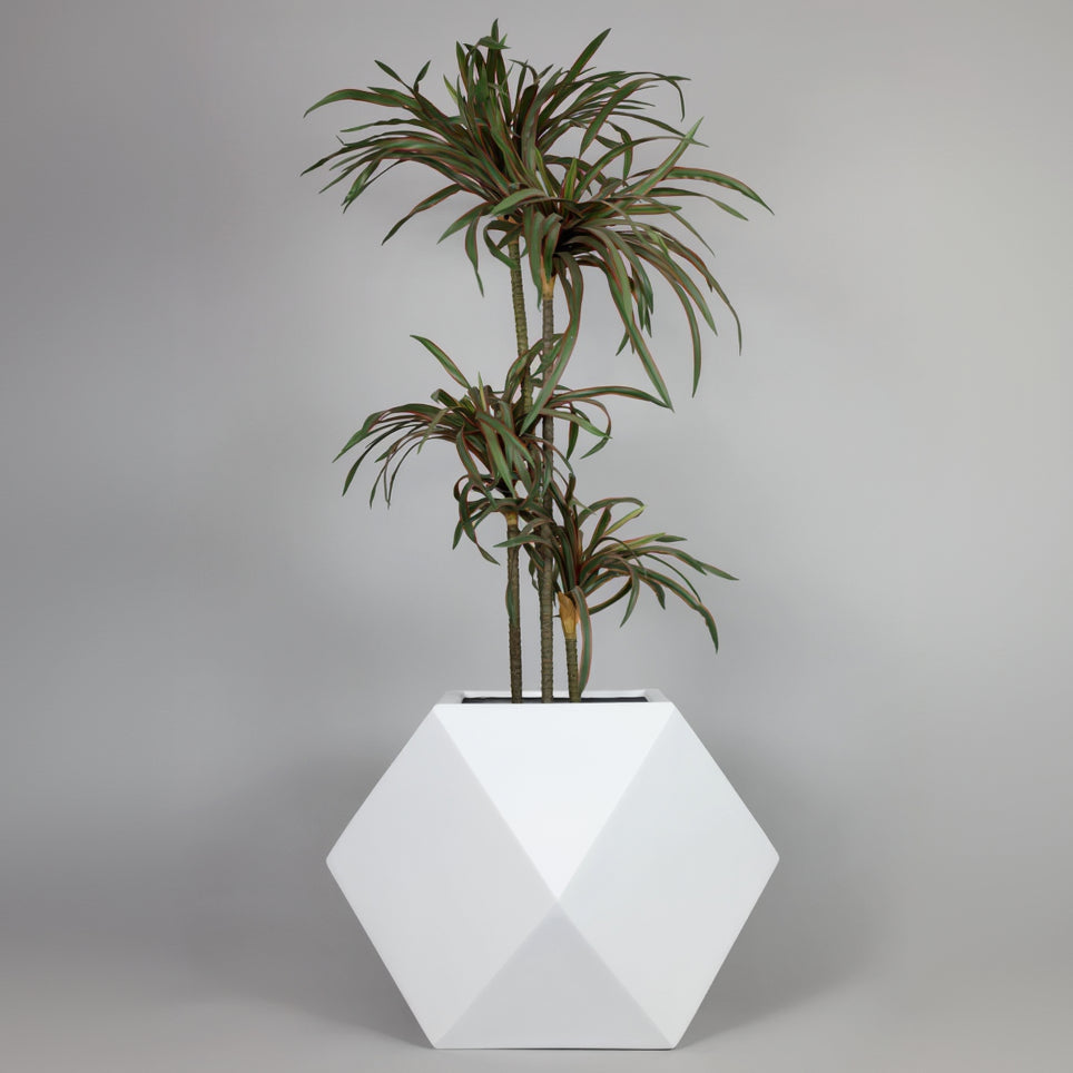 Geometric white planter with a potted plant on a gray background