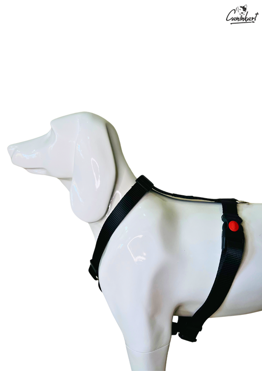 Premium Adjustable H-Harness for Dogs