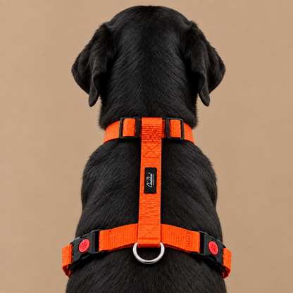 Premium Adjustable H-Harness for Dogs Orange