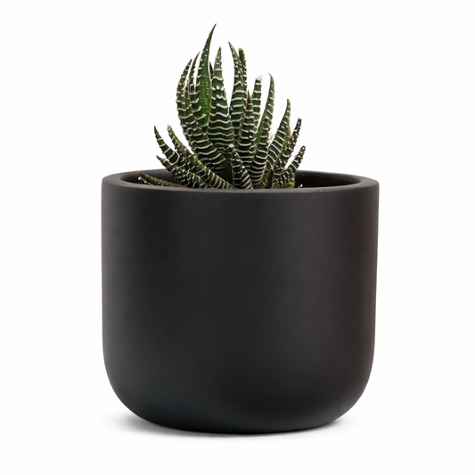 Matt Black Terracotta Planter