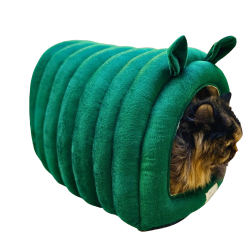 Premium Caterpillar-Shaped Pet Hut