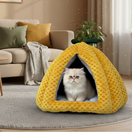 Premium Pumpkin-Shaped Pet Hut