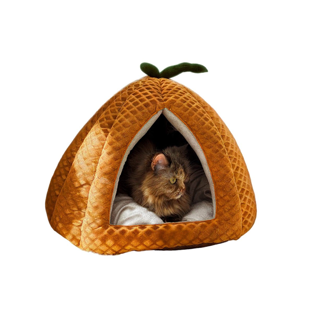 Premium Pumpkin-Shaped Pet Hut