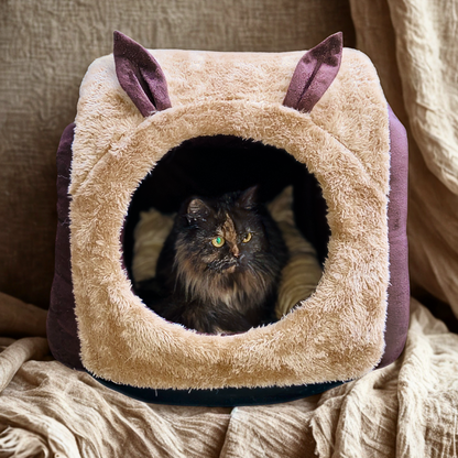 Premium Snail-Shaped Cat Hut