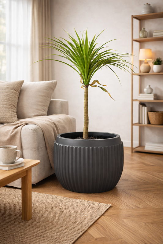 Orchid-D Grey Fiberglass Planter