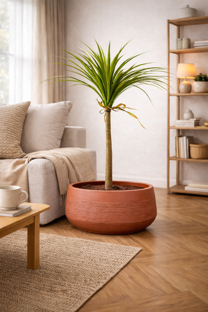 Oak Terracotta Fiberglass Planter