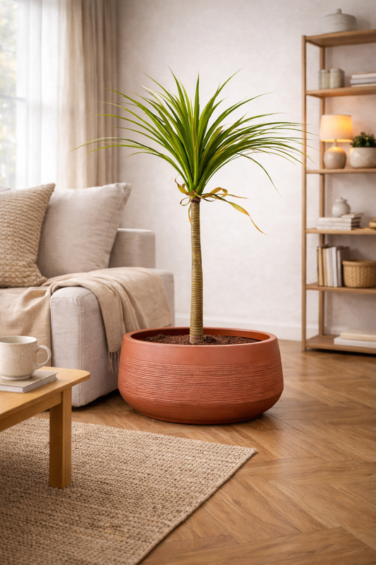 Oak Terracotta Fiberglass Planter