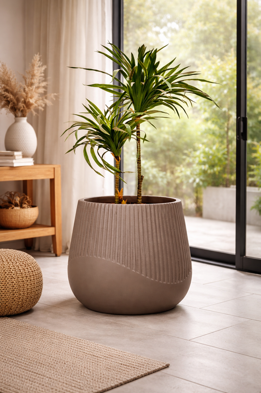 Juniper Fiberglass Planter