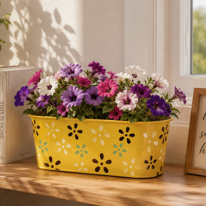 Iron Oval Pot – Decorative Multicolor Planter