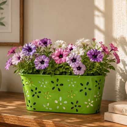 Iron Oval Pot – Decorative Multicolor Planter