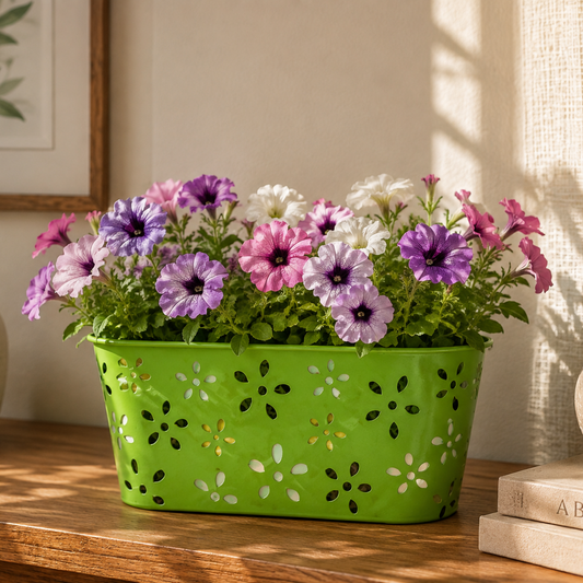 Iron Oval Pot – Decorative Multicolor Planter