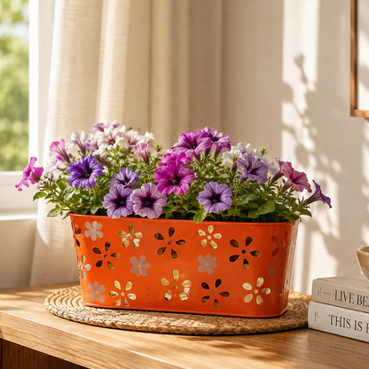 Iron Oval Pot – Decorative Multicolor Planter