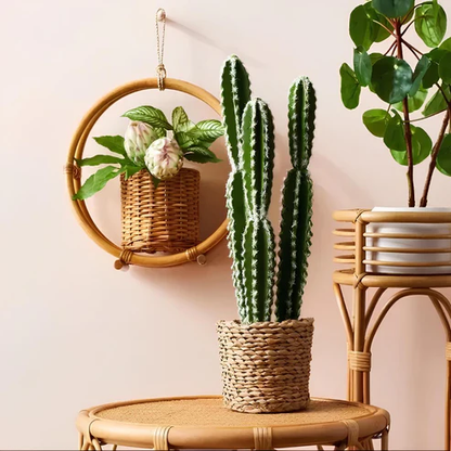 Ishita Handcrafted Rattan Hanging Planter