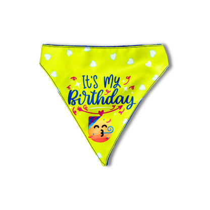 Pet Dog Bandana Its my birthday