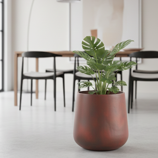 Potted plant in a modern indoor setting with chairs and tables in the background