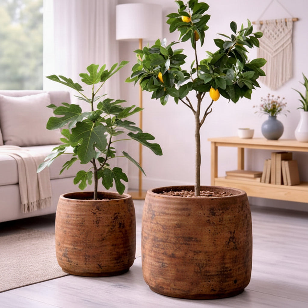 Julia Fiber Planters