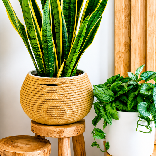 Handcrafted Round Jute Planter Basket