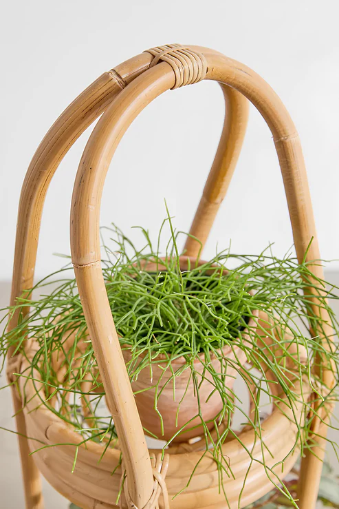 Kaia Handcrafted Rattan Planter with Tripod Stand