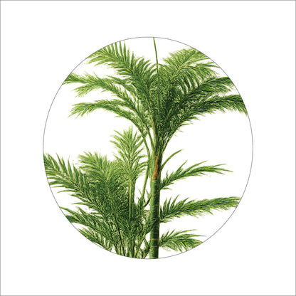 Premium Artificial Kentia Palm Tree 55"