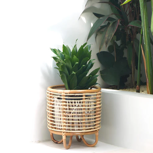 Kimaya Handcrafted Rattan Planter with Tripod Stand