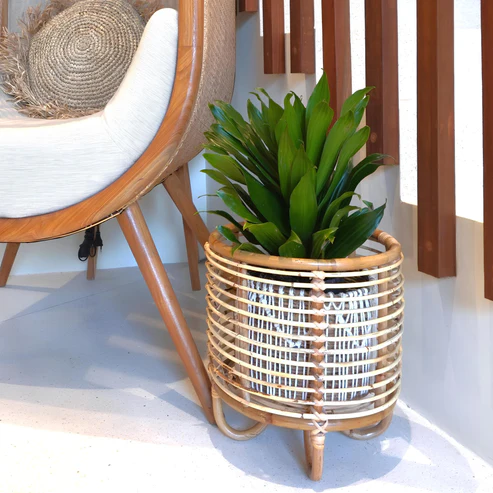 Kimaya Handcrafted Rattan Planter with Tripod Stand