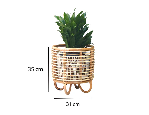 Kimaya Handcrafted Rattan Planter with Tripod Stand