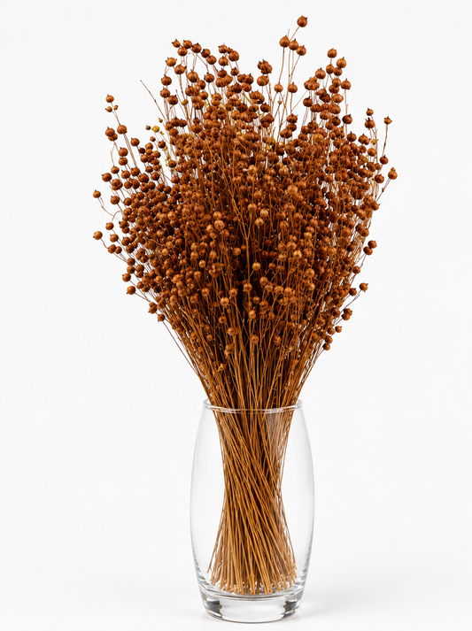 Light Brown Dried Linum (Flax) Bundle