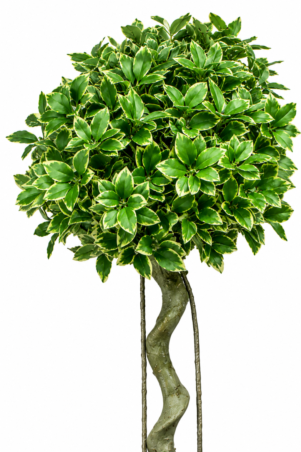 Artificial Lorbeer Plant - 59″ Faux Laurel Tree