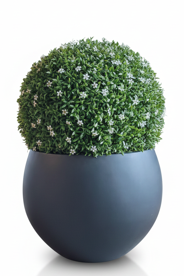 Green spherical topiary in a dark blue pot on a white background