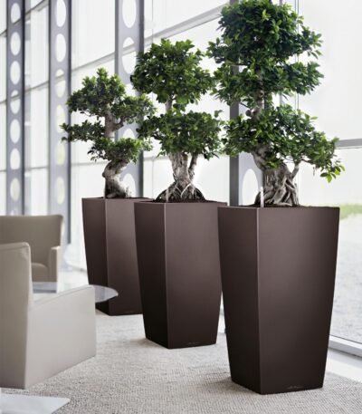 MANA Trapezoidal FRP Planter – Modern Fiberglass Design for Stylish Decor