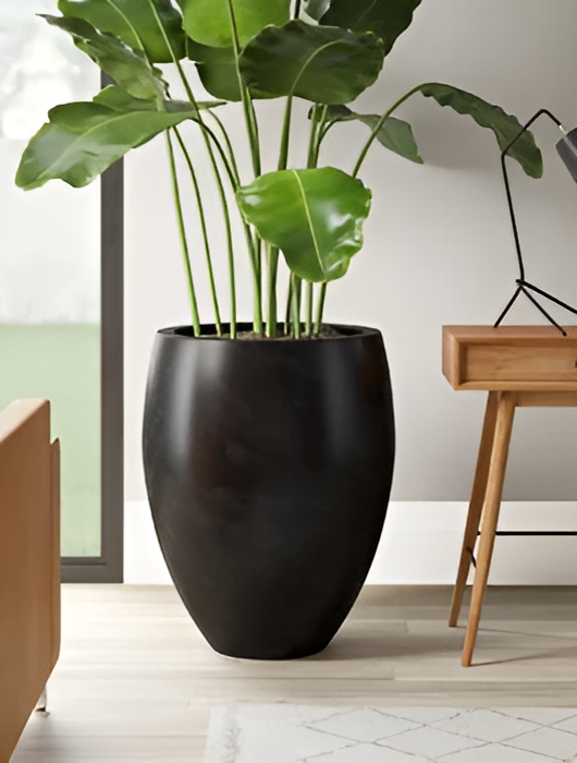 SAYA Modern Black Oval Planter – Shop Premium Decor