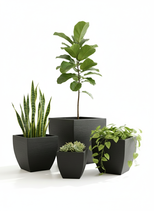 YUGA Square FRP Planter – Stylish Premium Planter for Any Space